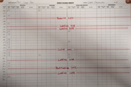 2015LRG PCK Day1 Sheet3